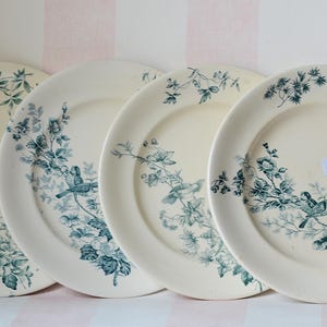 Beautiful flat plate in Longwy ironstone, Mignon model
