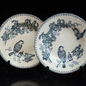 Antique ironstone plate from Longwy, Mesange model