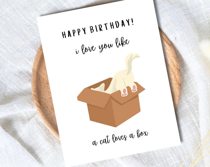 I Love You Like A Cat Loves A Box Birthday Greetings Card | Animal Funny Punny Birthday Card | Husband Wife Boyfriend Girlfriend Partner