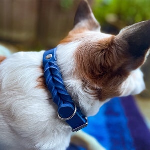 Halsband Bailey in verschiedenen Breiten und Farben teilgeflochten aus Fettleder Bild 9