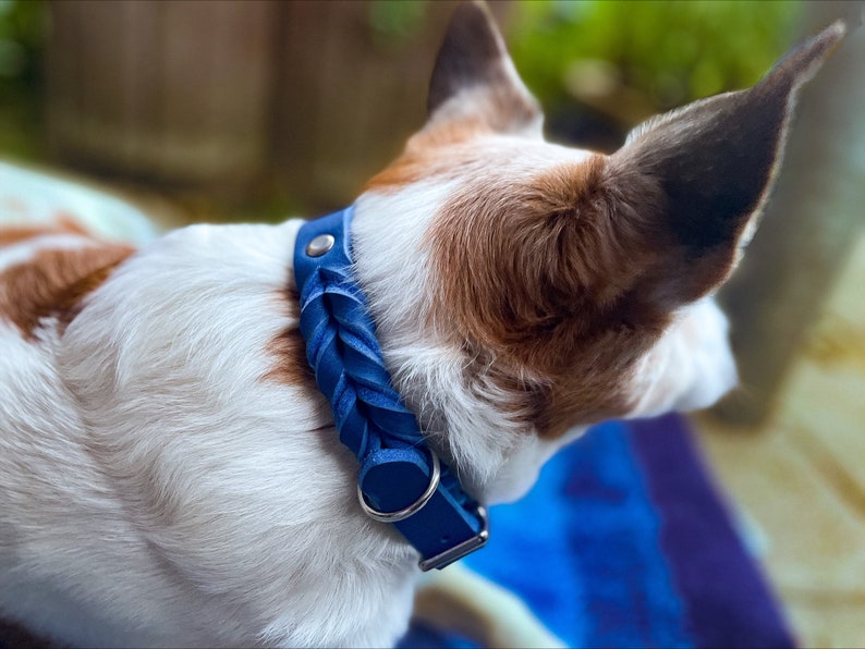 Halsband Bailey in verschiedenen Breiten und Farben teilgeflochten aus Fettleder Bild 9