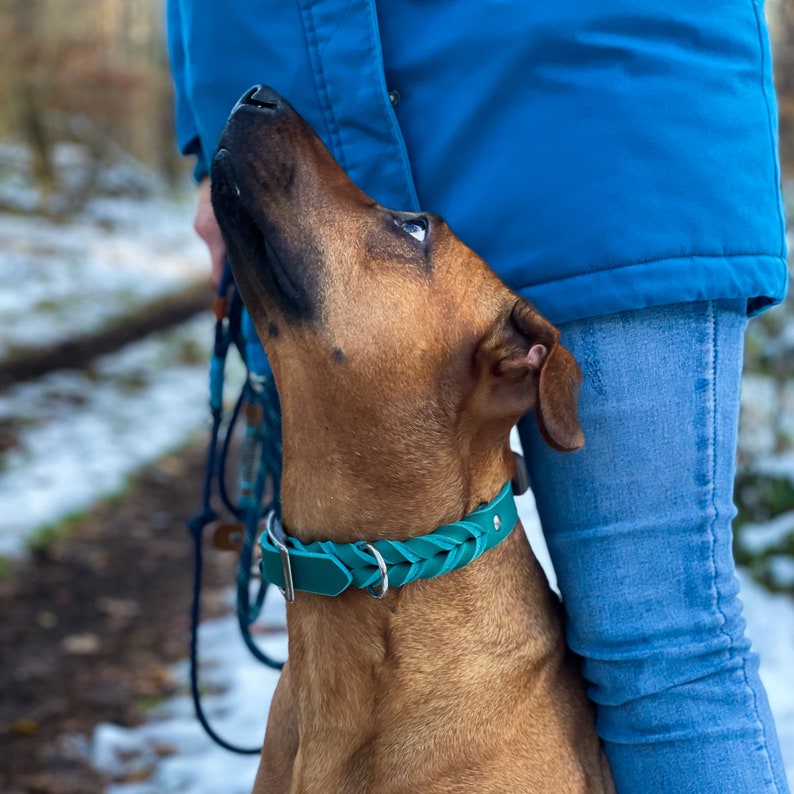 Halsband Bailey in verschiedenen Breiten und Farben teilgeflochten aus Fettleder Bild 2