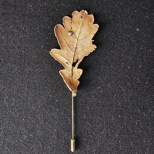 May include: A gold-colored leaf-shaped lapel pin with a long, thin pin. The leaf has intricate details and a small, round accent. The pin is set against a dark, textured background.