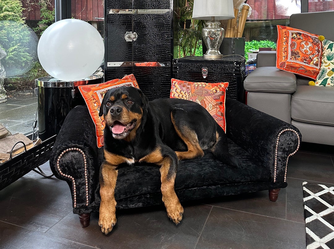 Large Luxury Black Velvet Dog Sofa Bed With Washable Crushed Velvet