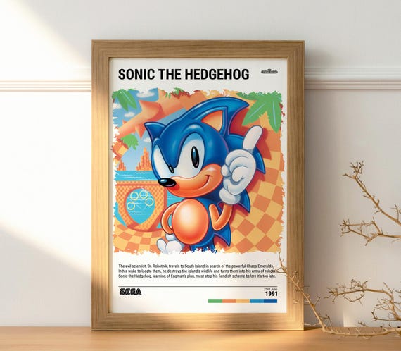 Sonic (1991) Retro Game Poster - Video Game Art Print - Gaming