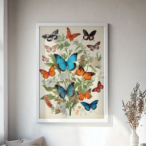 Butterfly Wall Art, Vintage Prints, Vintage Wall Art Prints, Butterflies Prints, Antique Wall Decor, Printable Art, Digital Download