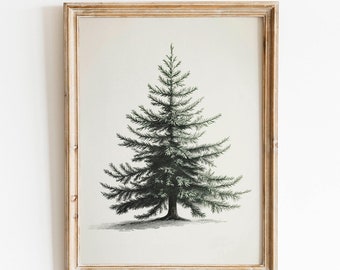 ヴィンテージクリスマスツリープリント、ヴィンテージモミの植物スケッチ、松の木のアンティークプリント、クリスマスツリーの絵画、デジタルプリントのクリスマスツリー
