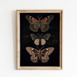 Dark Butterfly Print, Dark Butterfly Art, Black Butterfly Art, Black Butterfly Print, Dark Printable Art, Butterfly Vintage Decor