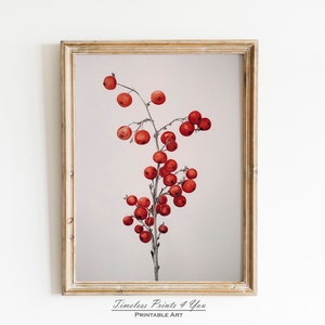 Holly Berries Print, Holly Tree, Holly Branch, Tree Branch Decor, Winter Scene Print, Winter Holiday Decor, Christmas Art, Botanical Winter