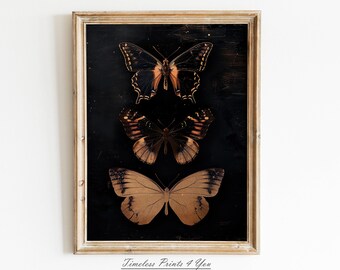 Dark Butterfly Wall Art, Dark Butterfly Print, Dark Academia Wall Art, Butterfly Print Wall Art, Vintage Butterfly Print Dark Insect Print