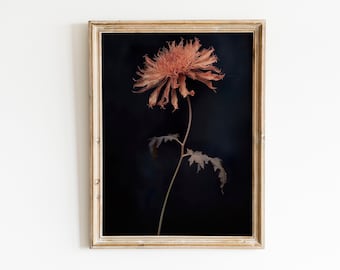 Dark Botanical Photo, moody floral art, dark flowers print, dark academia art, moody wall decor, dark academia print, dark floral print
