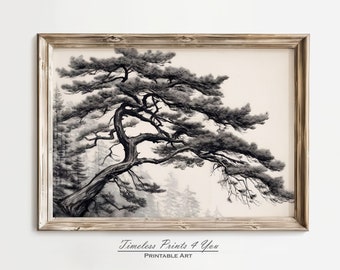 Pine Tree Print, Pine Tree Art, Pine Tree Wall art, Japanese Tree Art, Japan Mountain Landscape, Vintage Tree Sketch, Japanese Aesthetic