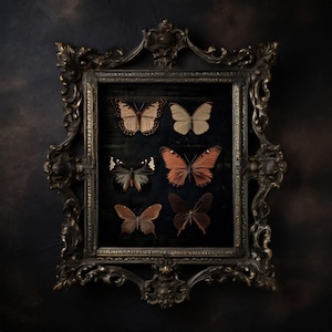 Dunkler Schmetterling Kunst, Schwarzer Schmetterling Kunst, Dunkler Schmetterling Druck, Schwarzer Schmetterling Druck, Dunkel druckbare Kunst, Wand Kunst Vintage Print