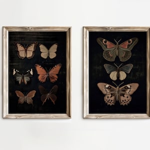 Dark Butterfly Art, Butterfly set of 2, Black Butterfly Art, Dark Butterfly Print, Black Butterfly Print, Dark Printable Art, Dark Academia