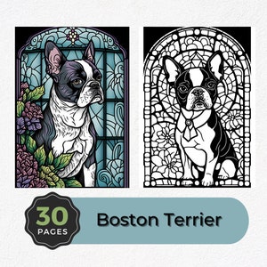 Boston Terrier Coloring Pages: 30 Printable Dog Breed Designs (Instant Download)