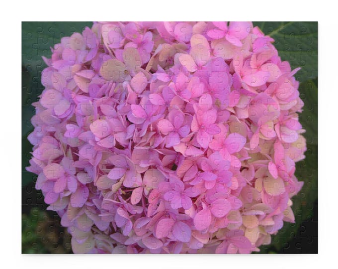 Pink Hydrangea Puzzle Floral Puzzle Nantucket Jigsaw Puzzle