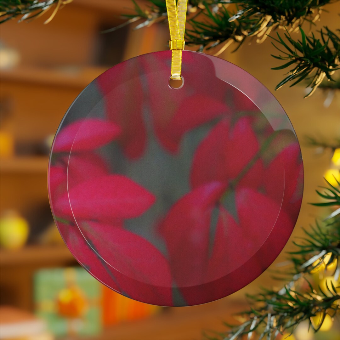 Beautifully Serene Glass Ornaments Unique Glass Ornaments Art Artistic