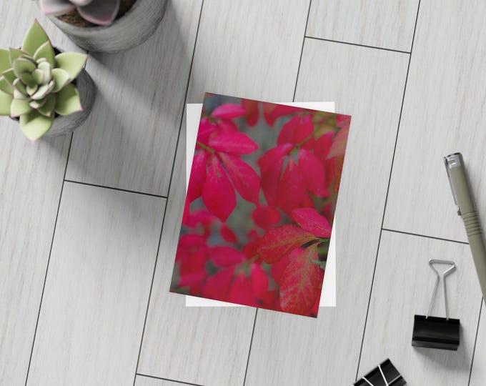 Stylishly Beautiful Serene Card Bundles (envelopes included) Floral Greeting Card Bundles, Note Cards, Post Cards, Blank Inside