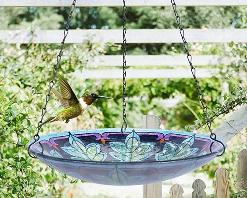12 Inch Glass Bird Bath Bowl Bird Hanging Bird Bath Bird Baths Etsy