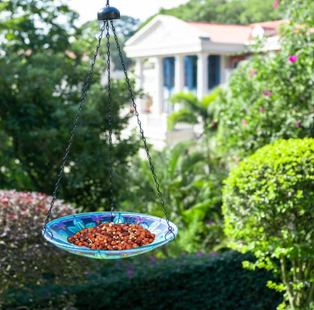 12 Inch Glass Bird Bath Bowl Bird Hanging Bird Bath Bird Baths Etsy