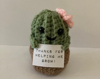 Handmade crochet thanks for helping me grow cactus gift boxed, thank you humour friend coworker mum dad husband wife teacher Mother’s Day