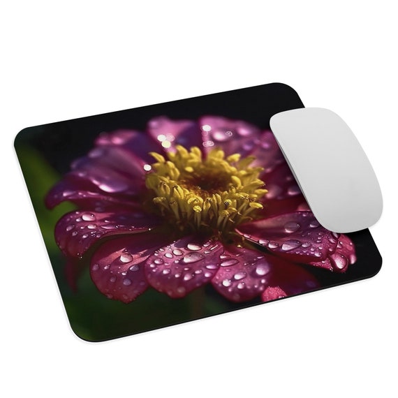 Zinnia Zest