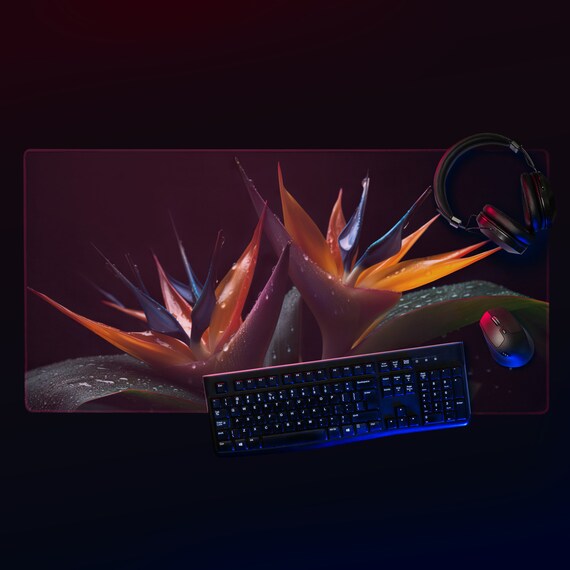 Radiant Bird of Paradise