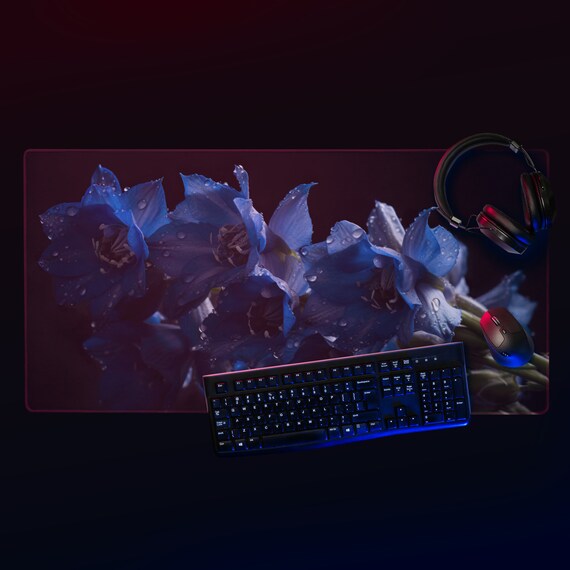 Dreamy Delight: The Dazzling Blue Delphinium