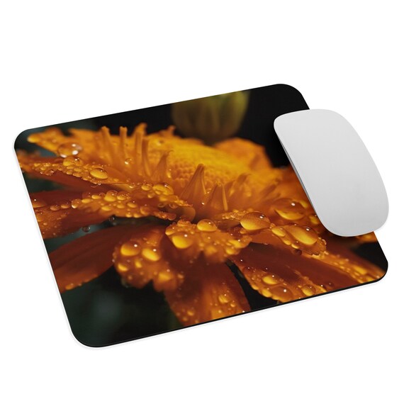 Marigold Magic