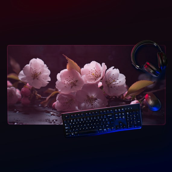 Charming Cherry Blossoms