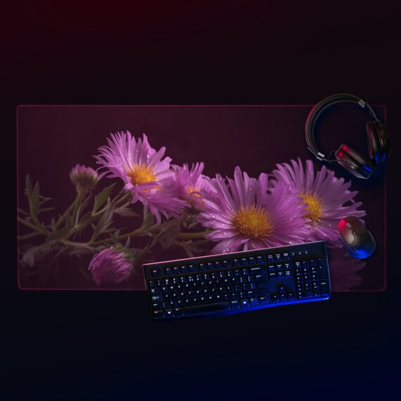 Awesome Asters
