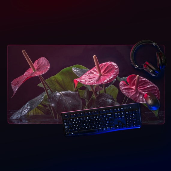 Ardent Anthurium: The Alluring Tropical Beauty