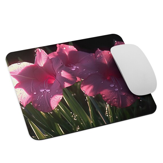Gladiolus Grandeur