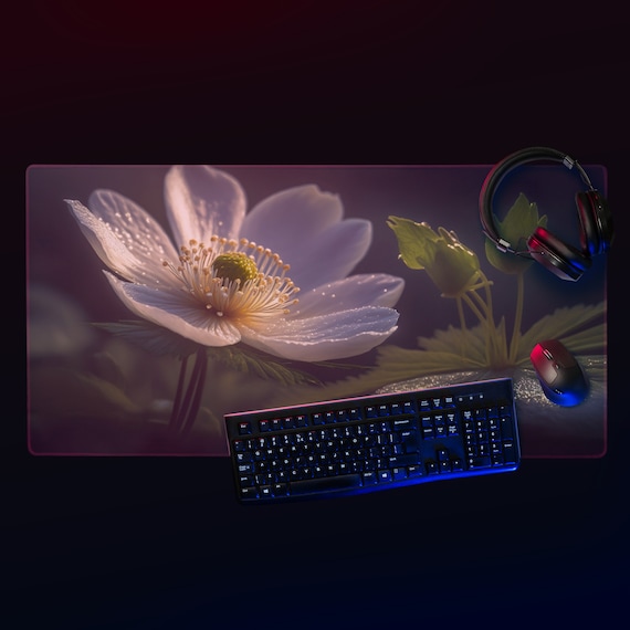 Anemone Adoration: The Wood Anemone