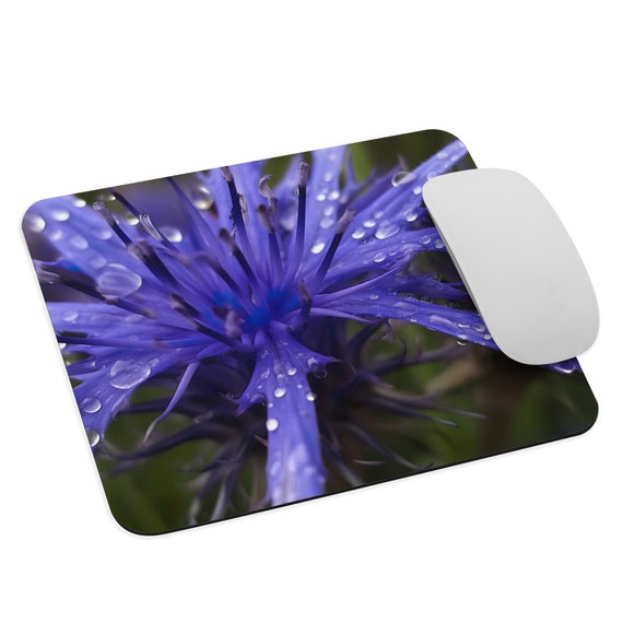 Celestial Cornflowers