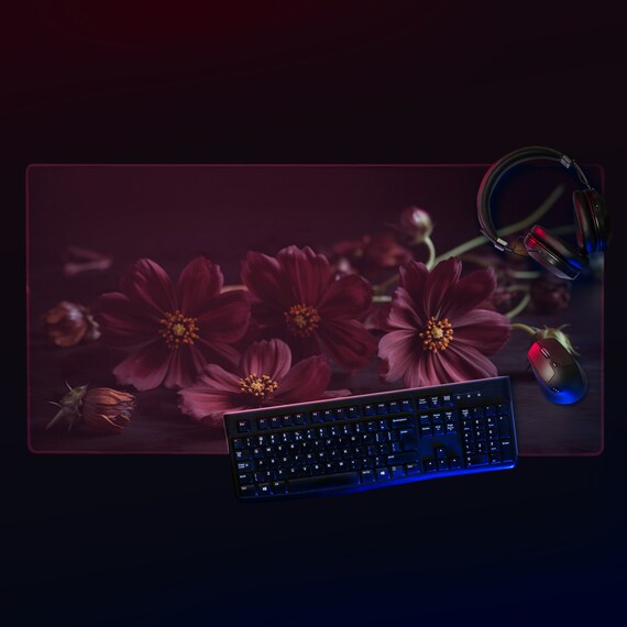 Chocolate Cosmos Charisma