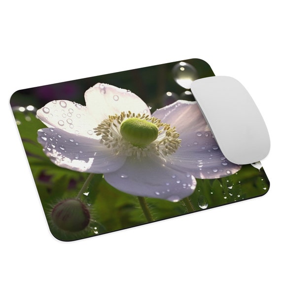 Enchanting Anemones
