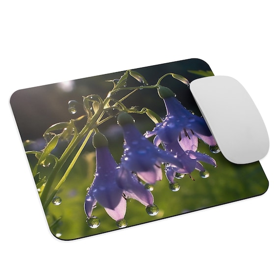 Bluebell Bliss