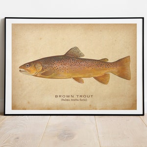 Best Vintage Angeln Poster Retro Angeln Druck Vintage Reise Poster Outdoor Sport Dekor Fliegenfischen Wand Kunst Geschenk Für Papa Geschenk