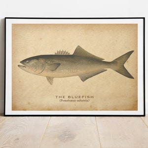 Best Vintage Angeln Poster Retro Angeln Druck Vintage Reise Poster Outdoor Sport Dekor Fliegenfischen Wand Kunst Geschenk Für Papa Geschenk