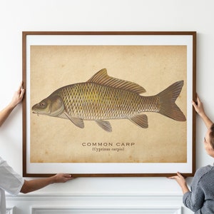 Best Vintage Angeln Poster Retro Angeln Druck Vintage Reise Poster Outdoor Sport Dekor Fliegenfischen Wand Kunst Geschenk Für Papa Geschenk