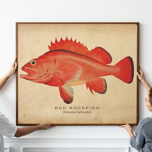 Best Vintage Angeln Poster Retro Angeln Druck Vintage Reise Poster Outdoor Sport Dekor Fliegenfischen Wand Kunst Geschenk Für Papa Geschenk