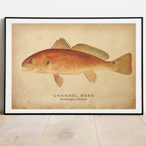 Best Vintage Angeln Poster Retro Angeln Druck Vintage Reise Poster Outdoor Sport Dekor Fliegenfischen Wand Kunst Geschenk Für Papa Geschenk
