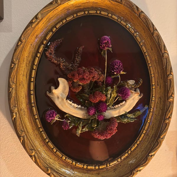 Wild Opossum Jaws in Antique Round Frame with Organic Dried Flowers