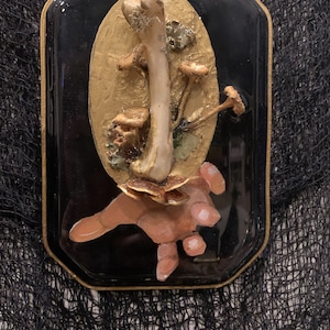Forest Saint Hands: Real Bone, Hand Painted Wall Mounts