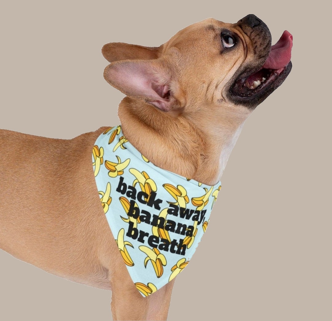 ITYSL Back Away Banana Breath Print Pet Bandana for Dogs and Etsy