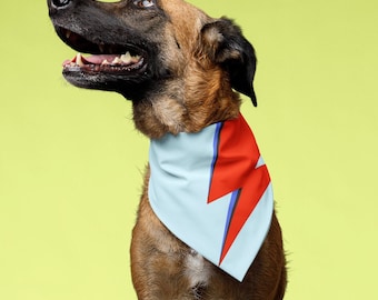 Bowie Ziggy Stardust-bandana voor huisdieren schattig