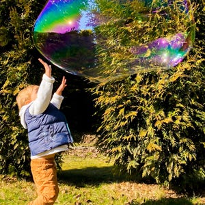 May include: A large, iridescent soap bubble with swirling rainbow colors floating in the air. The bubble has a thin, transparent film reflecting light, creating a spectrum of vibrant hues against a backdrop of green evergreen foliage.