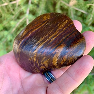 Wyoming Banded Iron/Genesis Stone