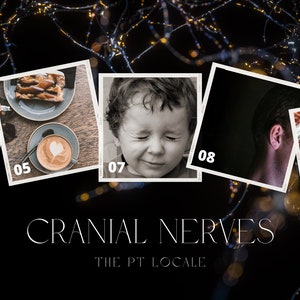 The Cranial Nerves - The PT Locale